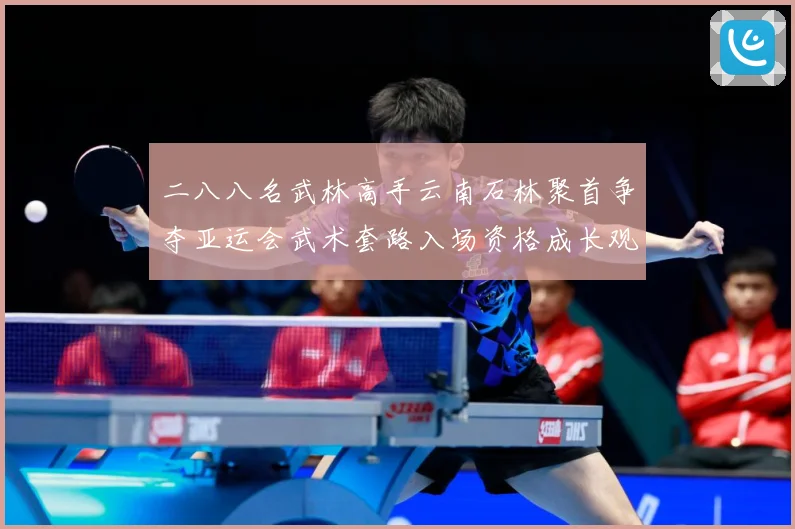 二八八名武林高手云南石林聚首争夺亚运会武术套路入场资格成长观察：最新赛事动态与深度分析