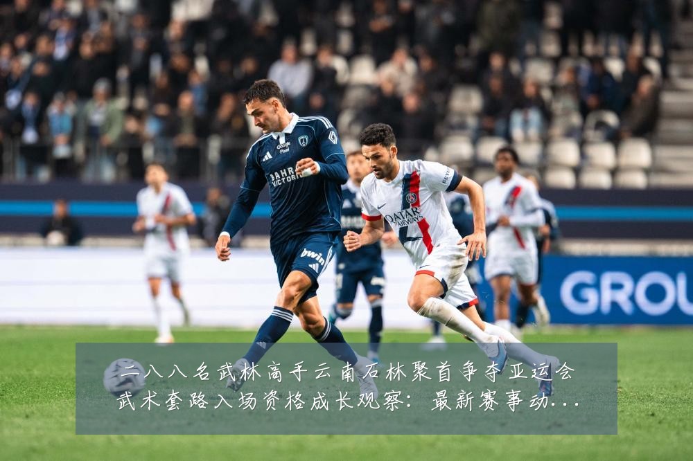 二八八名武林高手云南石林聚首争夺亚运会武术套路入场资格成长观察:最新赛事动态与深度分析